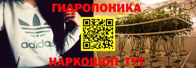 хмурый Будённовск