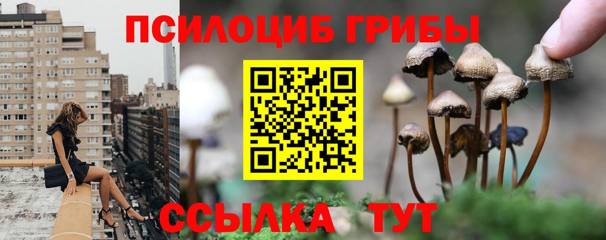 Галлюциногенные грибы прущие грибы  Вход с VPN  Галлюциногенные грибы ЛСД  Электрогорск 