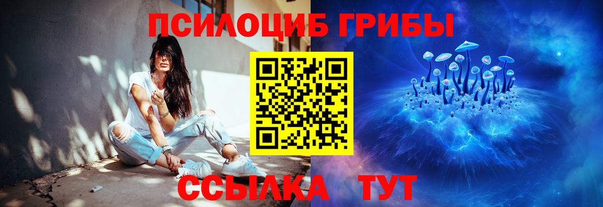 Псилоцибиновые грибы Cubensis Электрогорск